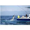 Image 1 : TROPIC STAR LODGE: Big Game Fishing Trip for 2 Anglers at Pinas Bay Panama
