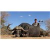 Image 3 : DRIES VISSER SAFARIS: 10 Day 2x1 Plains Game Safari in South Africa for 2 Hunters and 2 Non-Hunters