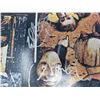 Image 4 : Signed Van Halen Fair Warning Album Cover