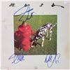 Image 1 : Signed Rush,  Signals Album Cover
