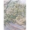 Image 4 : Signed Plastic Ono Band Album Cover
