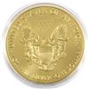 Image 2 : 2018 USA 1oz Coloured & Gilded .999 Fine Silver Eagle (TAX Exempt).