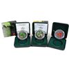 Image 1 : 2001, 2002, 2003 Canada $5 Coloured 1oz Silver Maple Leaf Collection (TAX Exempt). 2001 is missing w