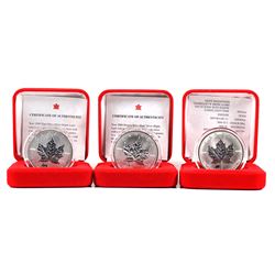 1998-2000 Canada $5 Privy Fine Silver Maple Leaf Collection (TAX Exempt). You will receive the 1998 