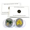 Image 1 : 2005 & 2006 $5 Canada Coloured Silver Maple Leafs Encapsulated with COAs (2006 coin has light toning