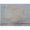Image 1 : WHITE RABBIT PELT
