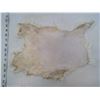 Image 2 : WHITE RABBIT PELT