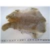 Image 1 : BROWN RABBIT PELT