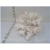 Image 2 : Ornamental Centerpiece Sea Antler Coral Specimen