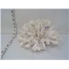 Image 3 : Ornamental Centerpiece Sea Antler Coral Specimen