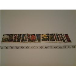 Complete Set 1-50 Imperial Tobacco Company Flower Culture in Pots Willis 1924-25