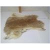 Image 1 : BROWN RABBIT PELT