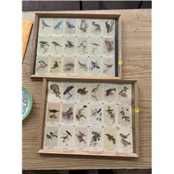 Framed Bird Cards