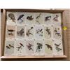 Image 3 : Framed Bird Cards
