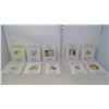 Image 1 : BEATRIX POTTER BOOKS 11-19 AND 23