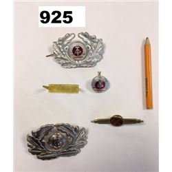 EAST GERMAN DRESS INSIGNIA