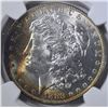 Image 2 : 1883-O MORGAN DOLLAR  NGC MS-62*  COLOR