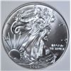 Image 2 : 2013 AMERICAN SILVER EAGLE, PNA PERFECT GEM BU