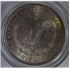 Image 3 : 1878 8 TF MORGAN DOLLAR PCGS MS-64