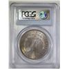 Image 4 : 1878 8 TF MORGAN DOLLAR PCGS MS-64
