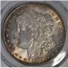 Image 2 : 1889 MORGAN DOLLAR PCGS MS-64