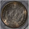 Image 3 : 1889 MORGAN DOLLAR PCGS MS-64