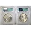Image 2 : 1923 & 24 PEACE DOLLARS ICG MS-63