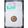 Image 4 : 1902 INDIAN CENT NGC MS-64 RB