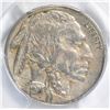 Image 2 : 1921-S BUFFALO NICKEL PCGS VF-35