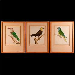 Francois Nicolas MARTINET (1725/31-1804)