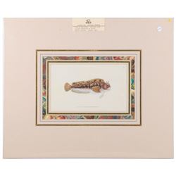 Marcus Elieser BLOCH (1723-1799) and Other