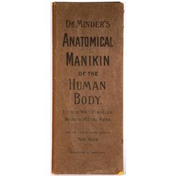 Dr. Minders Anatomical Manikin of the Human Body
