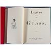 Image 2 : Leaves of Grass