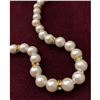 Image 2 : White Akoya Shell Pearl Necklace 49 Pearls