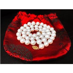 AAA+ 48 Round Pearl Necklace with Gold Clasp