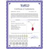 Image 2 : Genuine 1.75 ctw Ruby Necklace 14KT Yellow Gold - REF-25X2M