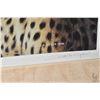 Image 3 : Framed limited edition print titled "Masai Mara Hunter-cheetah" pencil signed by artist David N. Kit