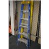 Image 2 : Featherlite 10' extension ladder and a 6' Featherlite step ladder