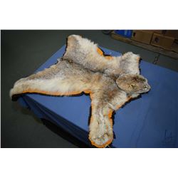 Bobcat skin rug, nose to tail measurement is 32"