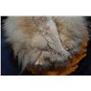 Image 4 : Bobcat skin rug, nose to tail measurement is 32"
