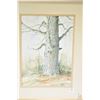 Image 2 : Framed original watercolour painting titled on verso "Black Poplar" signed by artist E. (Earl) Cummi