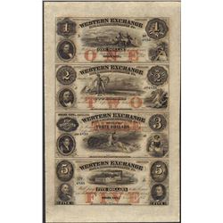 Uncut Sheet of 1857 Western Exchange Fire & Marine Insurance Co. Obsolete Notes