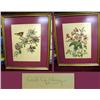 Image 1 : Pair framed bird prints by Cecil Goldin