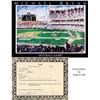 Image 1 : "The Old Ball Game" by Michael Bryan