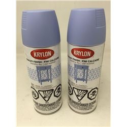 Krylon Rust Protector Chalky Finish