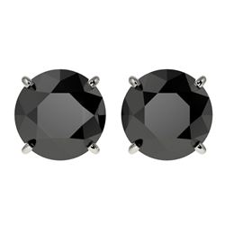 3 ctw Fancy Black Diamond Solitaire Stud Earrings 10k White Gold