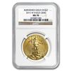 Image 1 : 2015-W 1 oz Burnished Gold Eagle MS-70 NGC