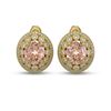 Image 1 : 13.41 ctw Morganite & Diamond Victorian Earrings 14K Yellow Gold