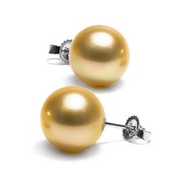 Golden South Sea Pearl Stud Earrings, 10.0-11.0mm