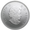 Image 2 : 2014 Canada 1/2 oz Silver O Canada Down By the Old Maple Tree